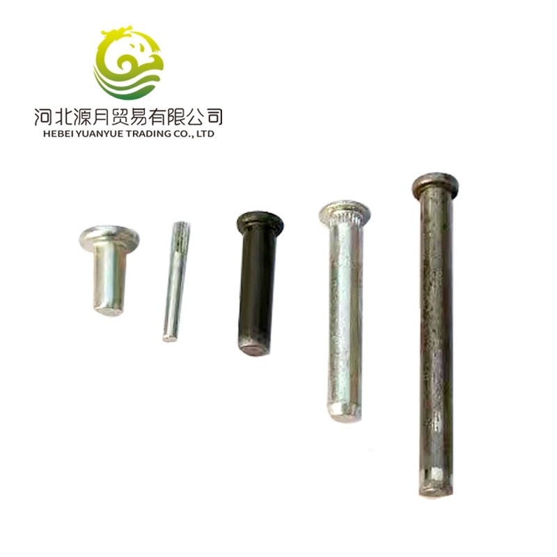 China Factory Custom Fasteners Cold Heading Auto Parts Pin