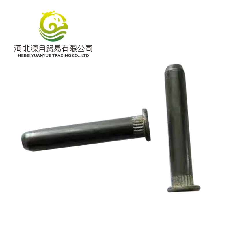 China Factory Custom Fasteners Cold Heading Auto Parts Pin