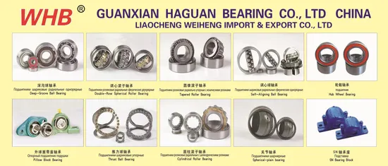 Auto Bearing,Cylindrical Roller, N2207m,2507h,Nu2207m,32507h,Nj2207m,42507h, NF2207m, 12507h,Ncl2207m,102507h,Nup2207m,192507h,Rn2207m,502507h,Rnu2207m,292507h 