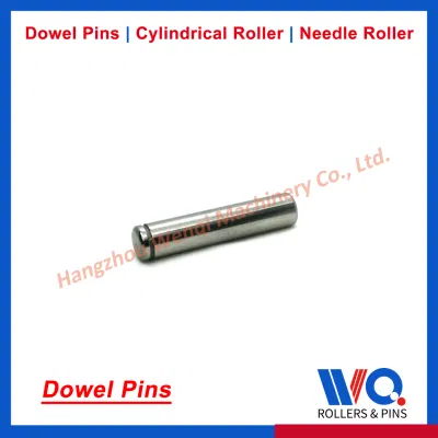Special Customrized Dowel Pins with Grooves